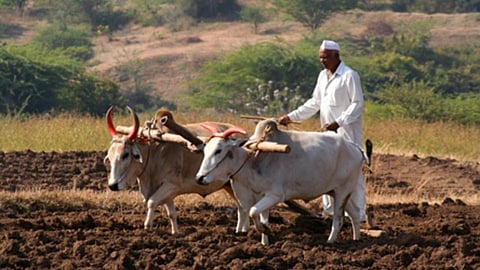 Farm land
