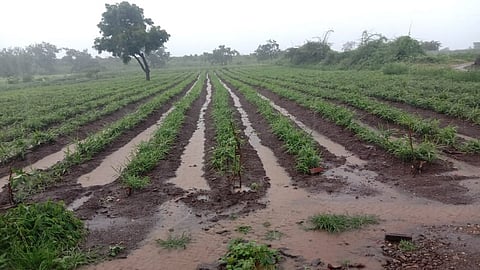 Bhokardan