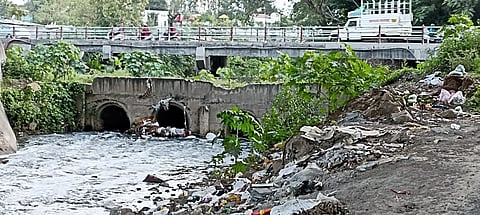 bridge