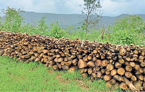 KOKAN