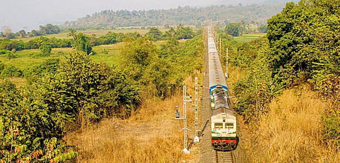 कोकण रेल्वे मार्गावर मॅंगो ट्रेनसाठी चाचपणी