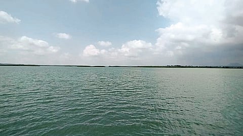 Five dams in Dindori taluka are 100 percent full