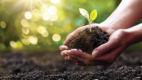 Organic Agriculture