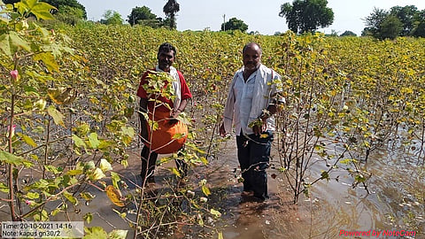 crop damage