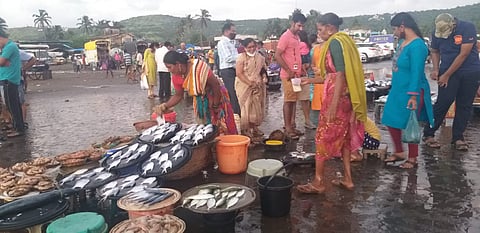 येवा कोकण आपलाच असा! मासे खरेदीला पर्यटकांची मांदियाळी