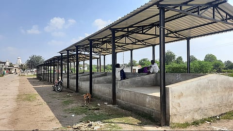 market floor