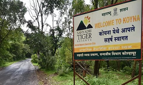 satara