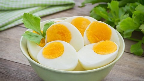 Egg