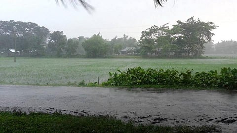 Aurangabad Crop Damage