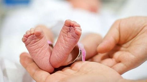 Baby Boom