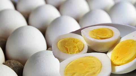 Boiled Egg