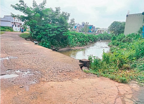 nagpur