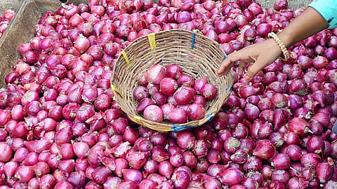 onion rates