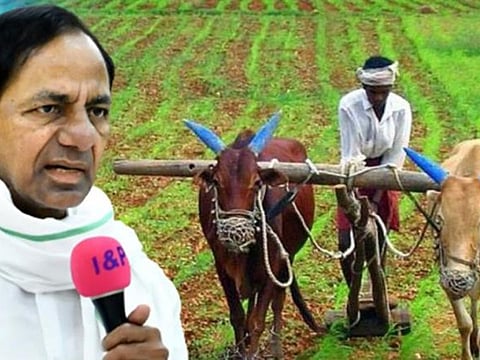 मृत शेतकऱ्यांच्या कुटुंबीयांना प्रत्येकी 3 लाख,'या' राज्याची घोषणा