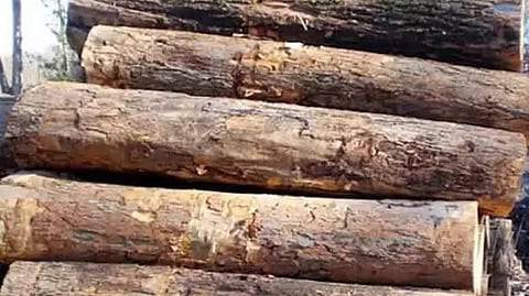 khair wood