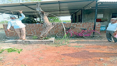 Solapur : अडीच एकरात तब्बल २४१ टन ऊस