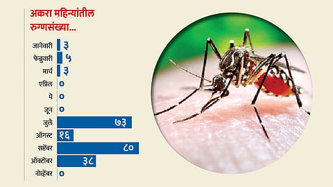 chikungunya