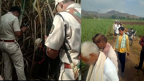 Forest Department