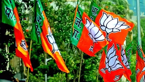 bjp party