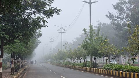 बारामतीकरांनी अनुभवला महाबळेश्वरचा फील....