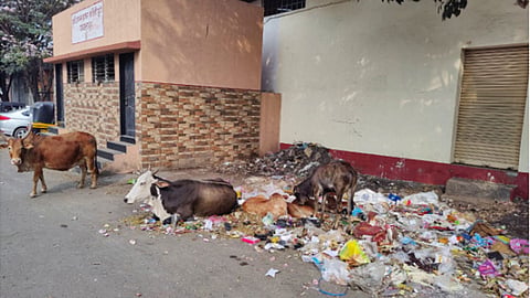 Garbage