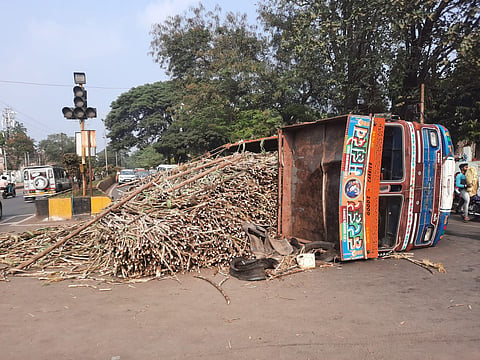 Sugarcane Truck