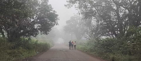 भोरकर अनुभवतायेत धुक्याची दुलई