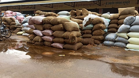 Grain Sack soaked