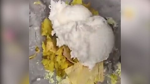 masala dosa icecream