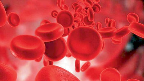 health news Demand for platelets increased in Pune