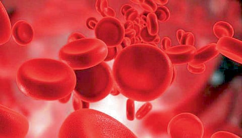 Kolhapur Single Donor Platelets Group angels for patients