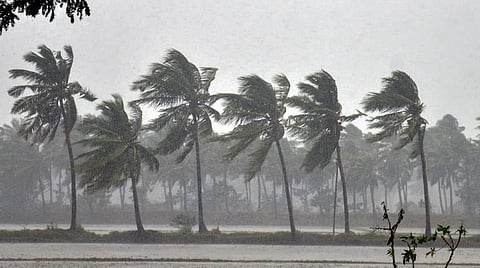 winds