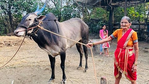 Bailgada Sharyat