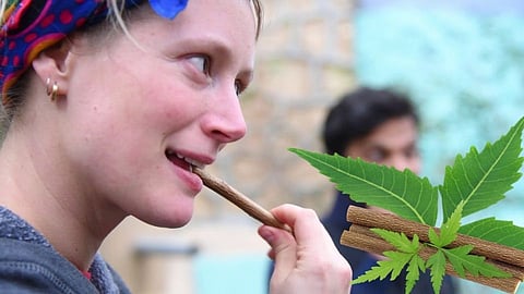 Benefits of brushing teeth with neem stick