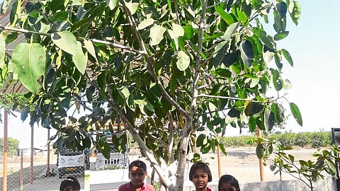 Students