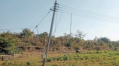 Water supply to plantations by stealing electricity Complaint to Collector