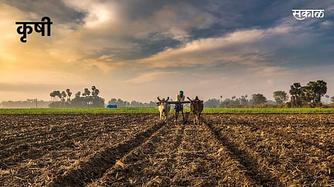 Agriculture