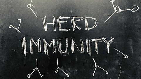 The idea of Herd Immunity for Corona is silly WHO scientists claim
