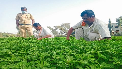 Beed District Jail