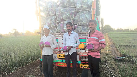 farmer