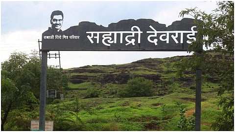Sayadri Devrai Beed