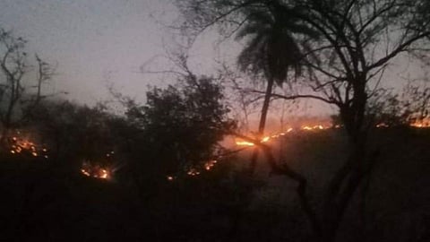 Sariska Tiger Sanctuary