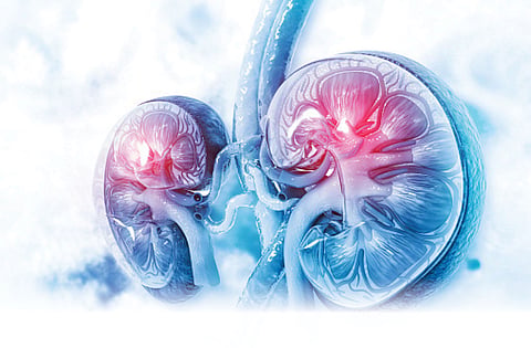 kidney disease