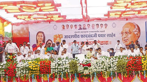 local body elections ncp Sharad Pawar Osmanabad visit