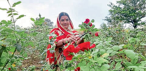 International Women Day