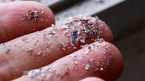 Microplastics In Human Blood