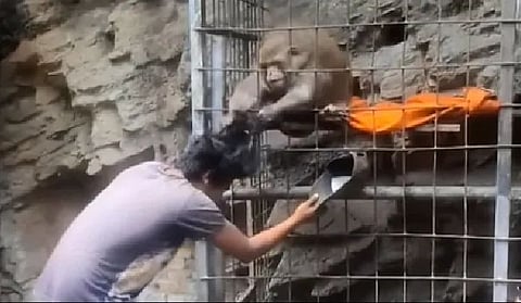 Viral Video