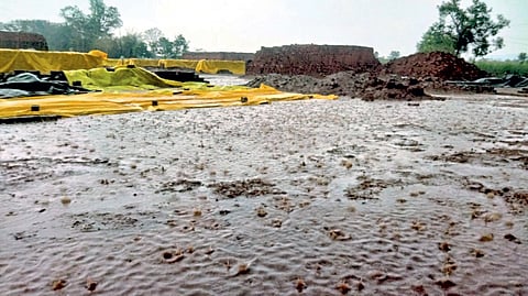 पावसाने विटा भिजल्या