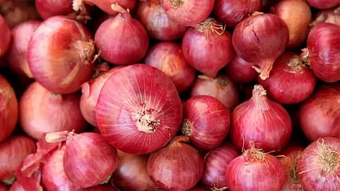 Onion