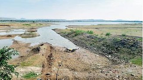 summers increase water scarcity Rapid decline in water for maan satara